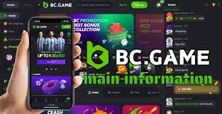 BC.Game Login Guide Your Step-by-Step Manual