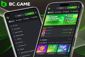 BC.Game Login Guide Your Step-by-Step Manual