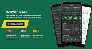 Comprehensive Guide to BetWinner Bookmaker Features, Offers, and More